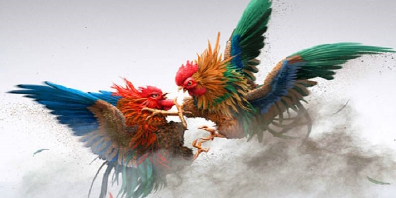 Giới thiệu về EE88 và sự quan trọng của mẹo đá gà Giới thiệu về EE88 và sự quan trọng của mẹo đá gà