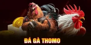 đá gà thomo