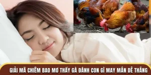 mơ thấy gà đánh con gì